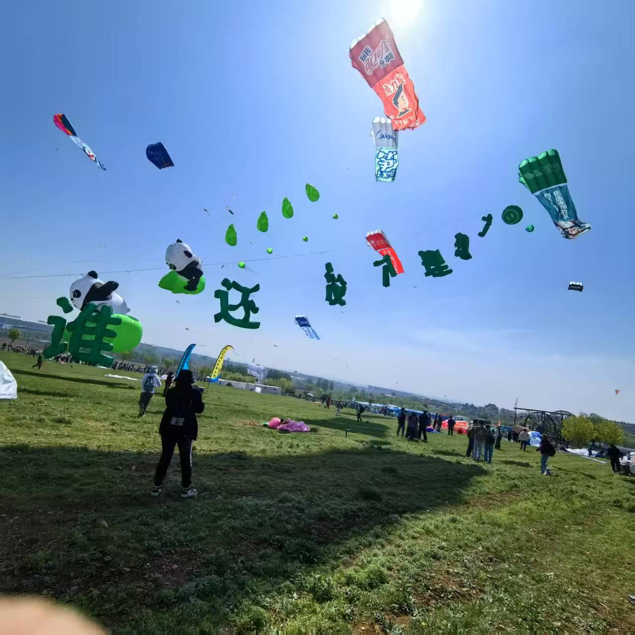 南阳市宣传风筝定制风筝定制 - 排名